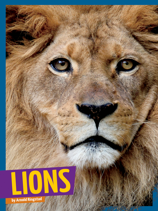 Title details for Lions by Arnold Ringstad - Available